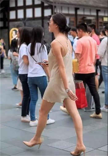 野草视频自线观看二四区