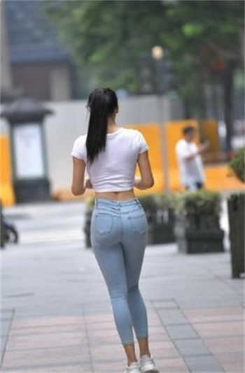 猫咪社交最新官方