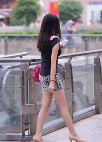 重生之厉少溺宠妻