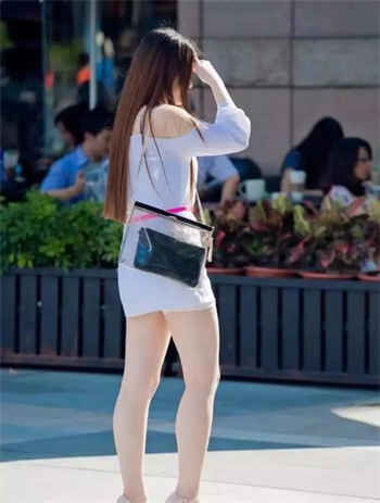 老婆安妮的公司20