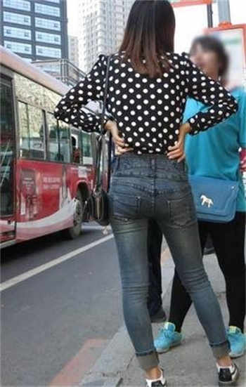 赛高图集资源