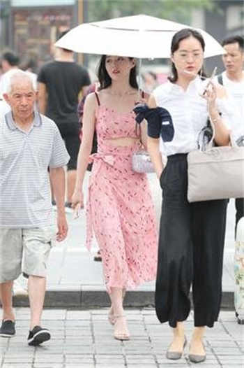 大巴车轮轩小说 系列