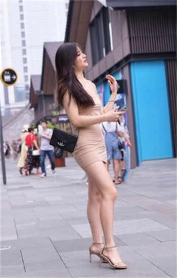 傅司年唐晚苏重生