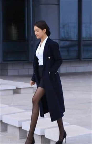 pr九尾狐视频软件