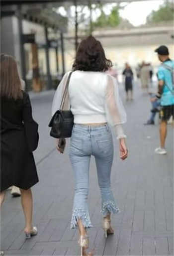 赵海棠小说