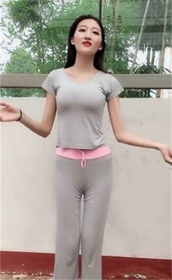 我的爱情公寓老婆林