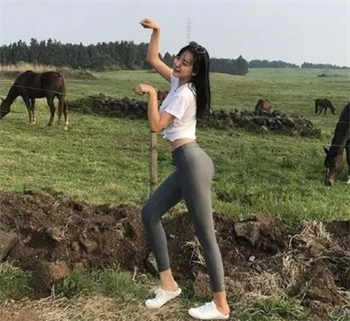 中国十大顶级车模排名